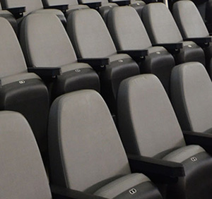 Detroit Lions use ACME Mills theatre seating and venue seating products